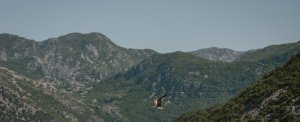 Journey Through Montenegrin Culture & History